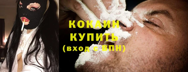 молекула духа Бородино