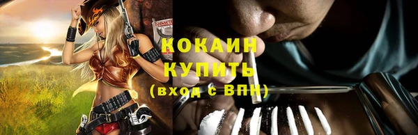 молекула духа Бородино