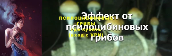 молекула духа Бородино