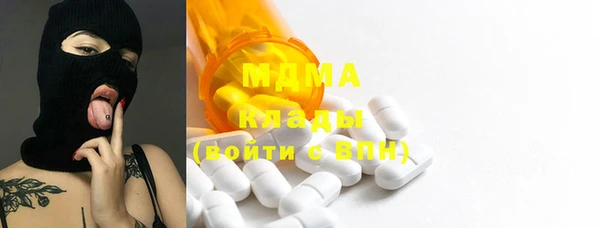 молекула духа Бородино