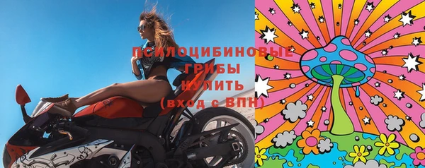 гидра Бугульма