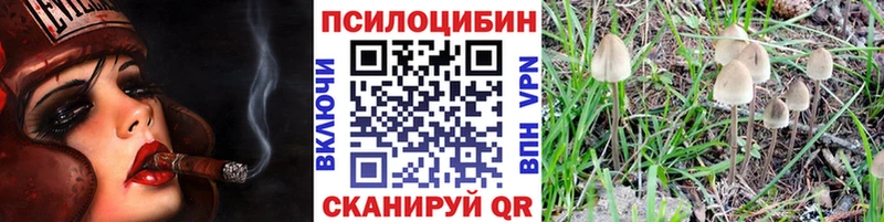 Галлюциногенные грибы Cubensis Купить закладки Аша